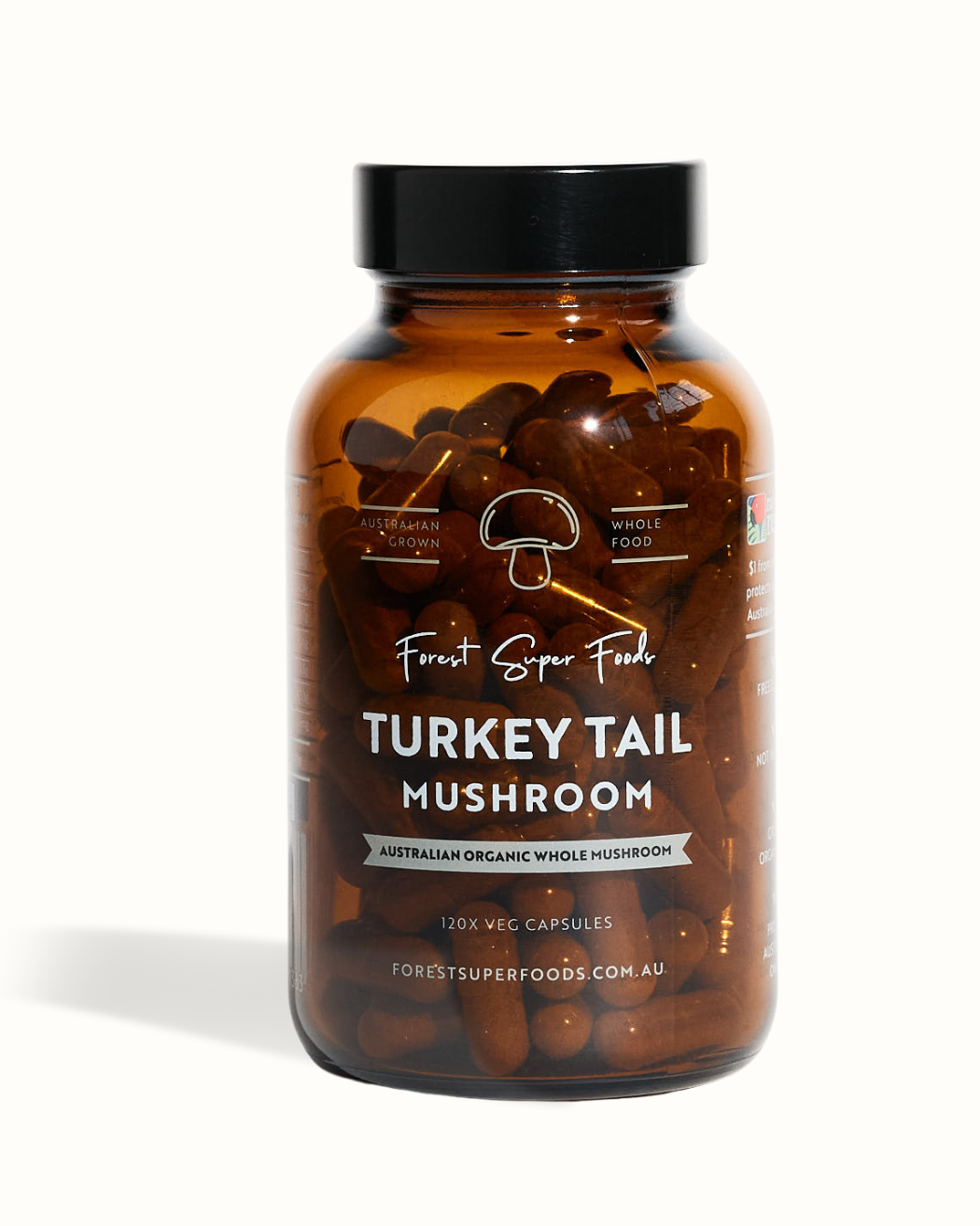 Turkey Tail Mushroom: The Gut-Loving Functional Mushroom