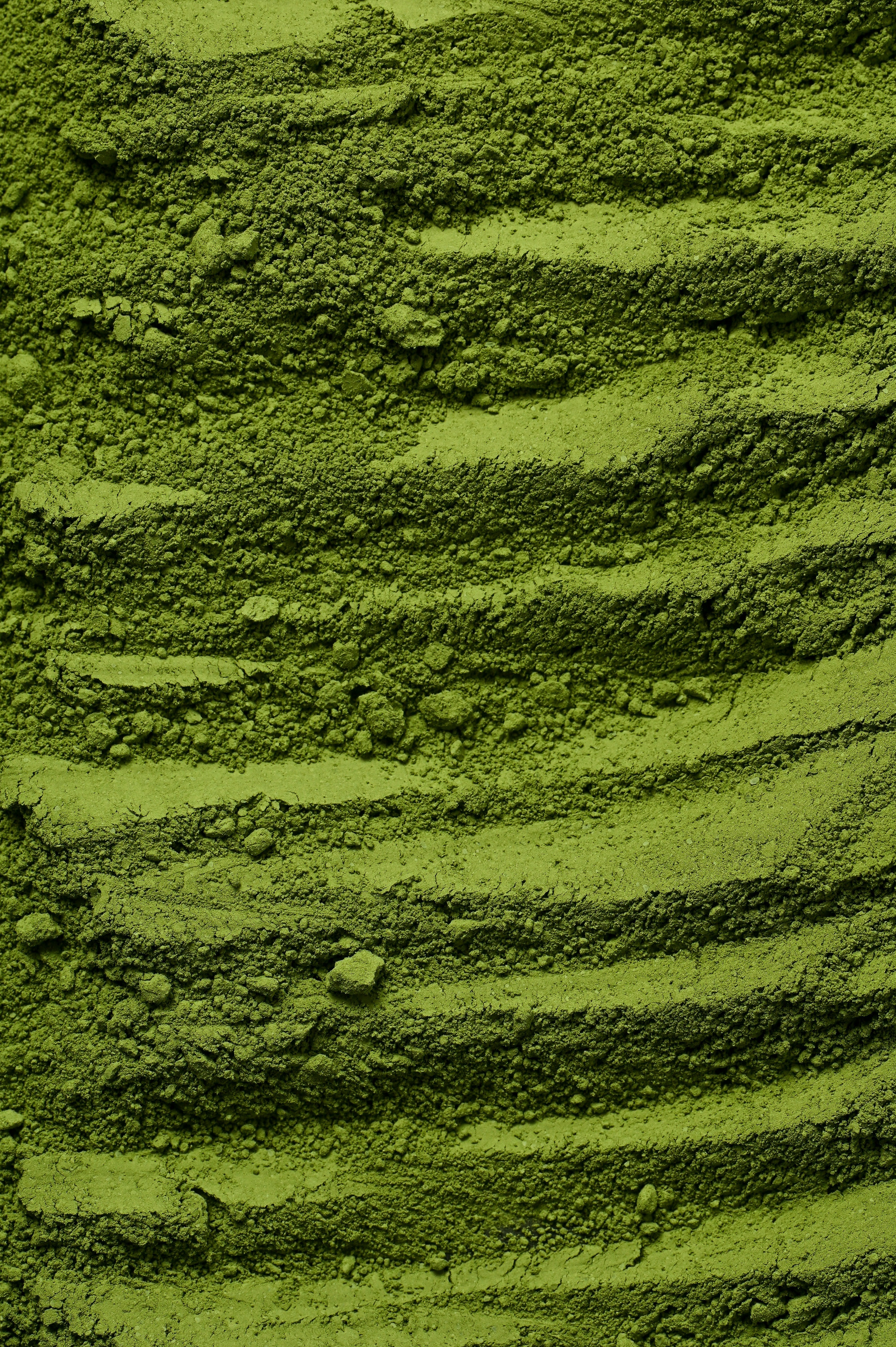 Moringa Leaf Powder: Possible Side Effects and Considerations