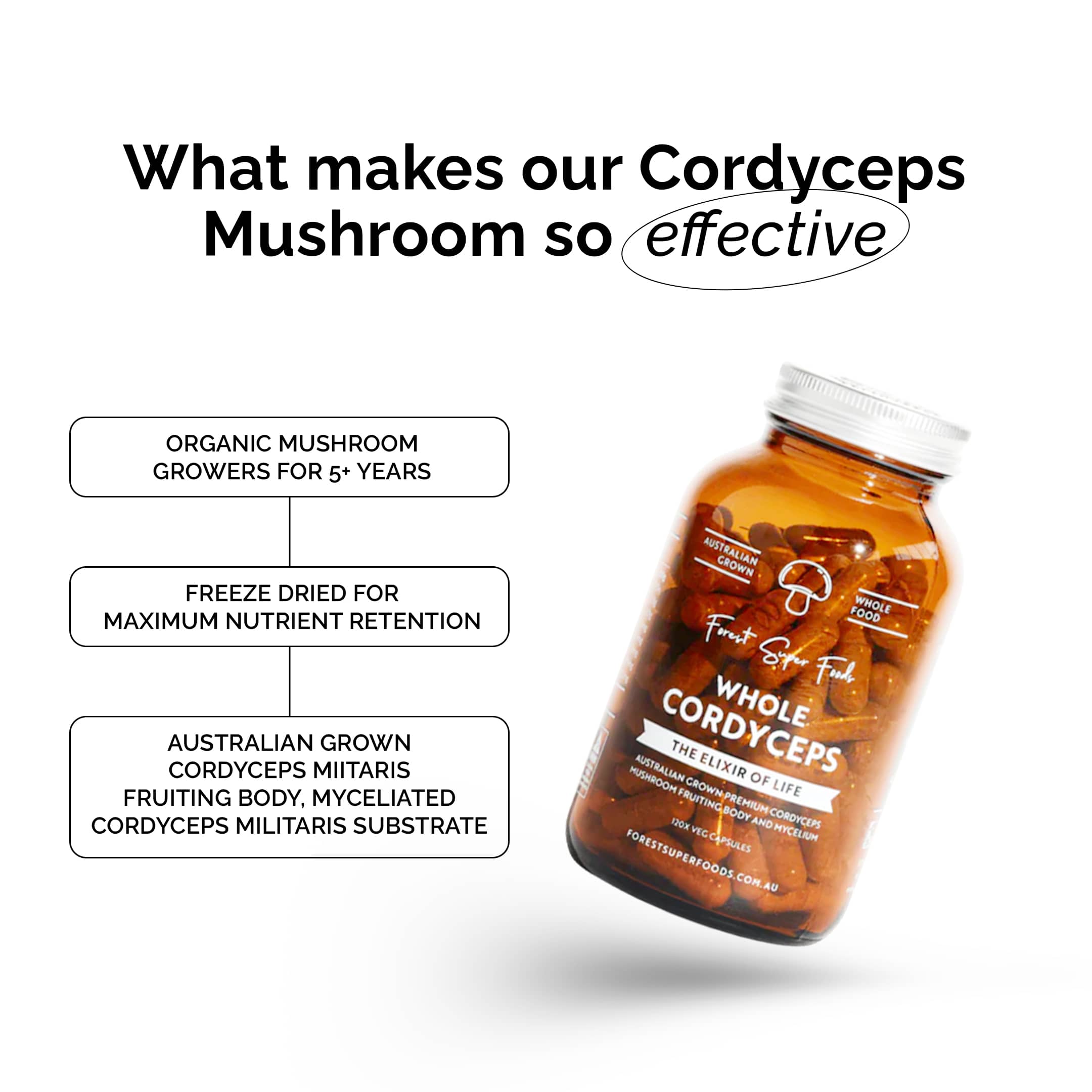 Australian Grown Cordyceps Mushroom