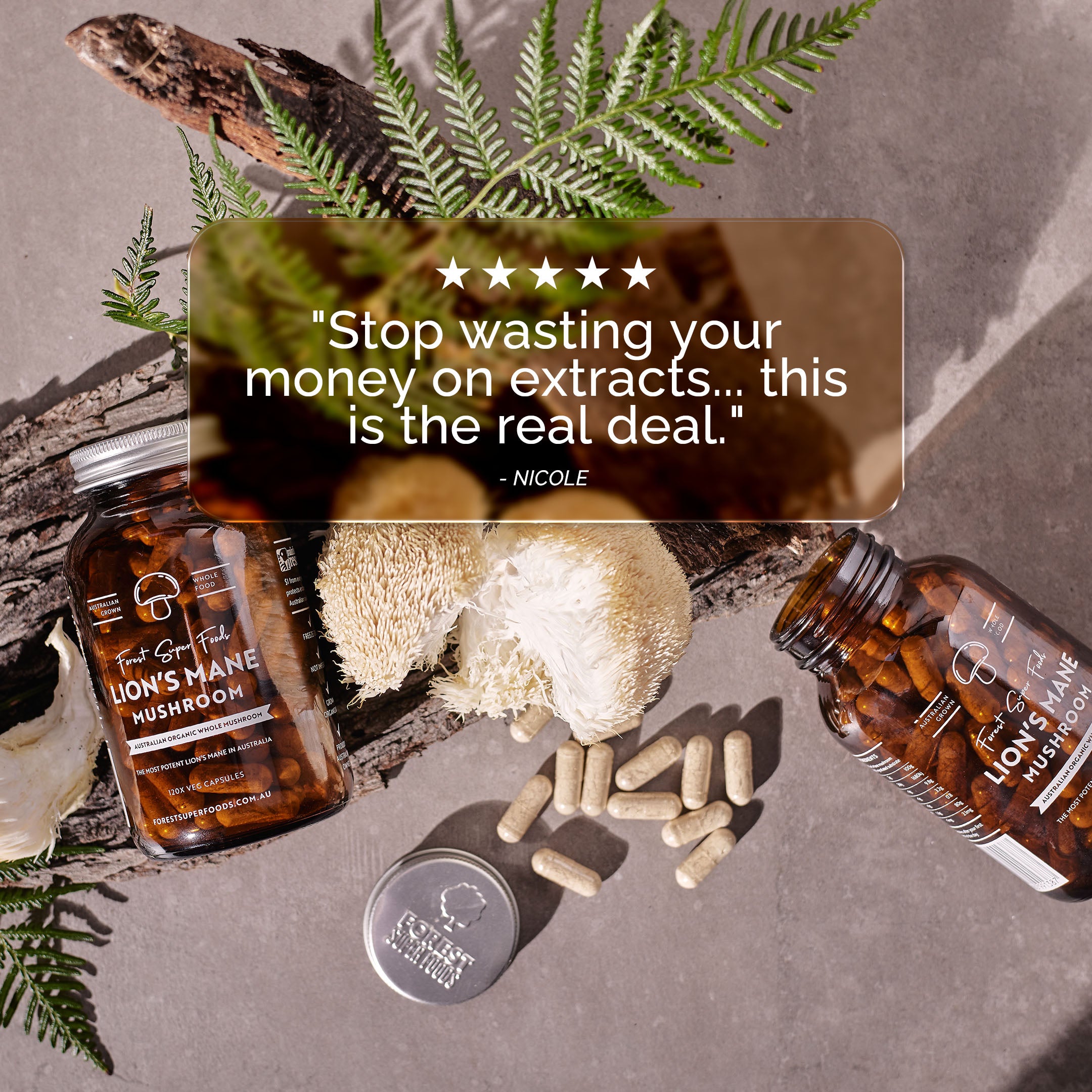 Lions Mane mushroom with customer quote "stop wasting your money on extracts... this is the real deal" - Nicole