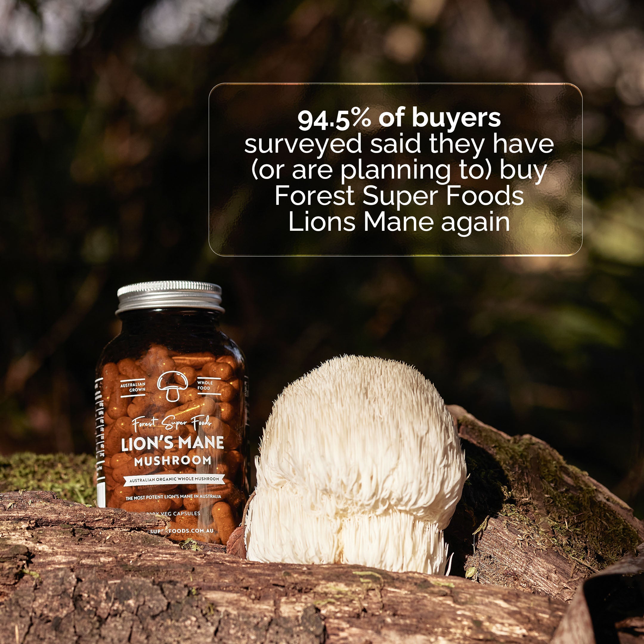 Lions Mane Mushroom bottle with static from lions mane customer survey
