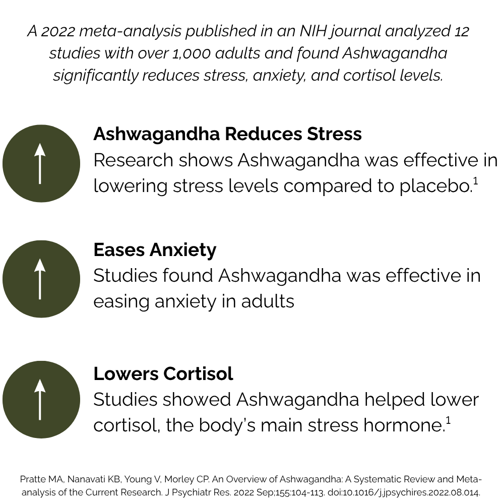 Organic Ashwagandha Capsules infographic showing benefits for reducing stress, easing anxiety, and lowering cortisol levels in adults