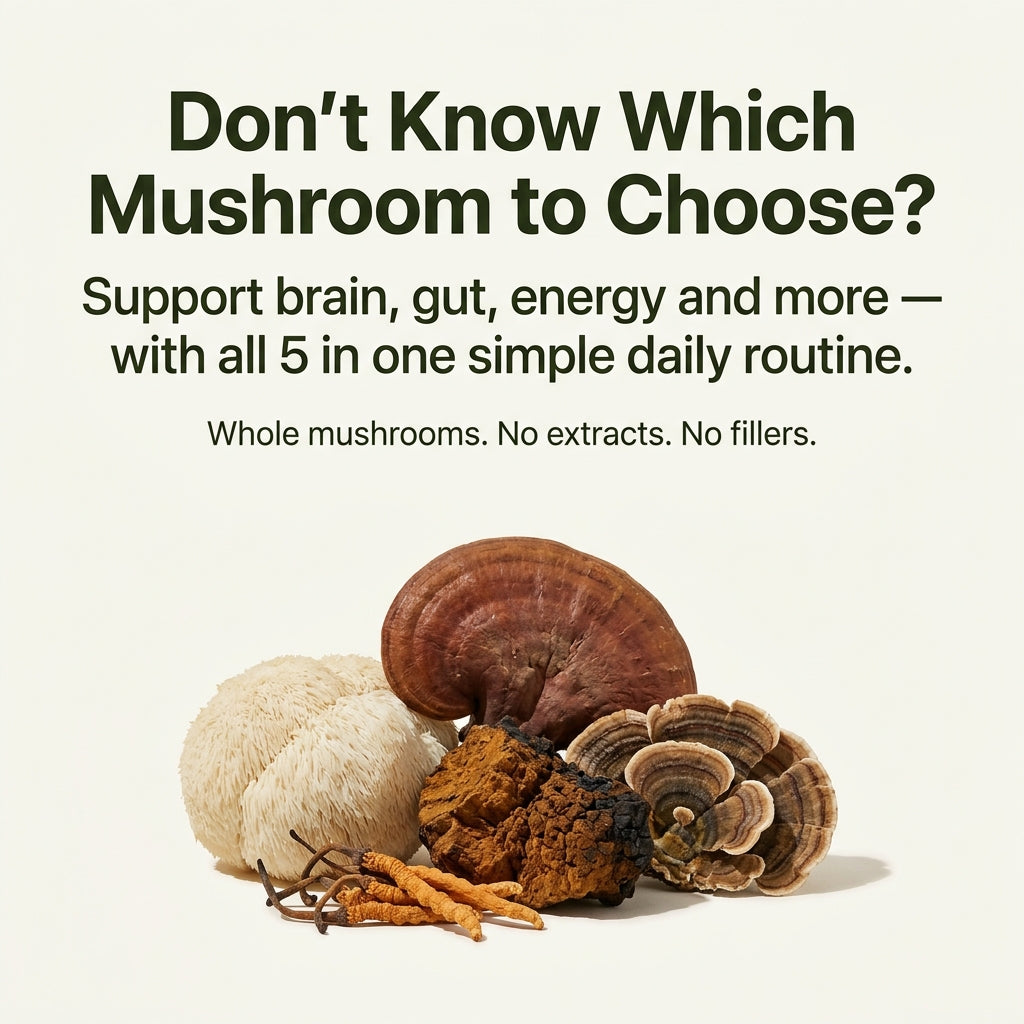 Mushroom Blend Capsules