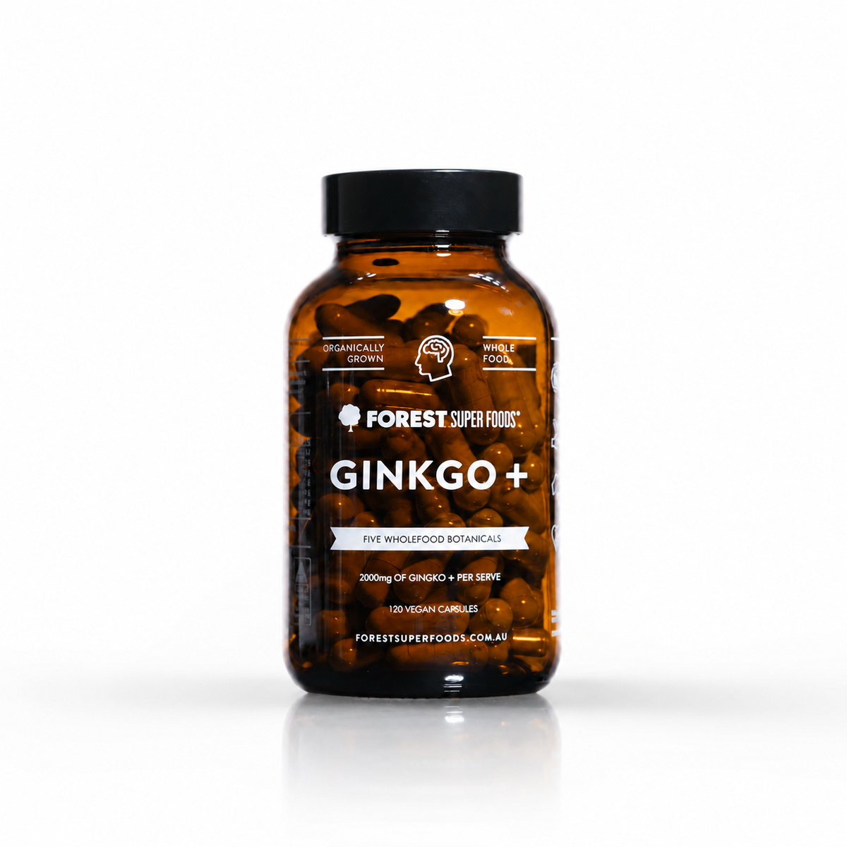 Ginkgo +
