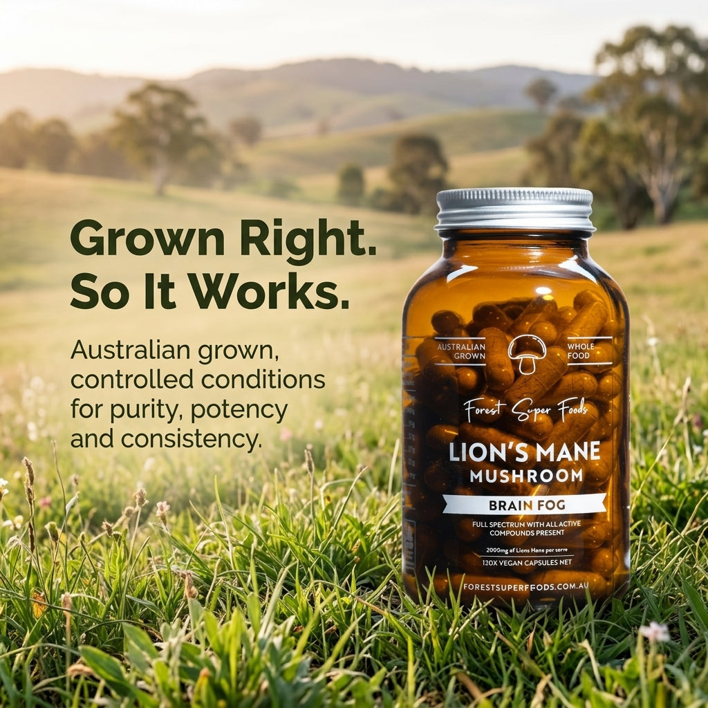 Australian Grown Lions Mane Mushroom Capsules